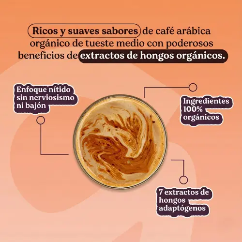 beneficios hongos funcionales